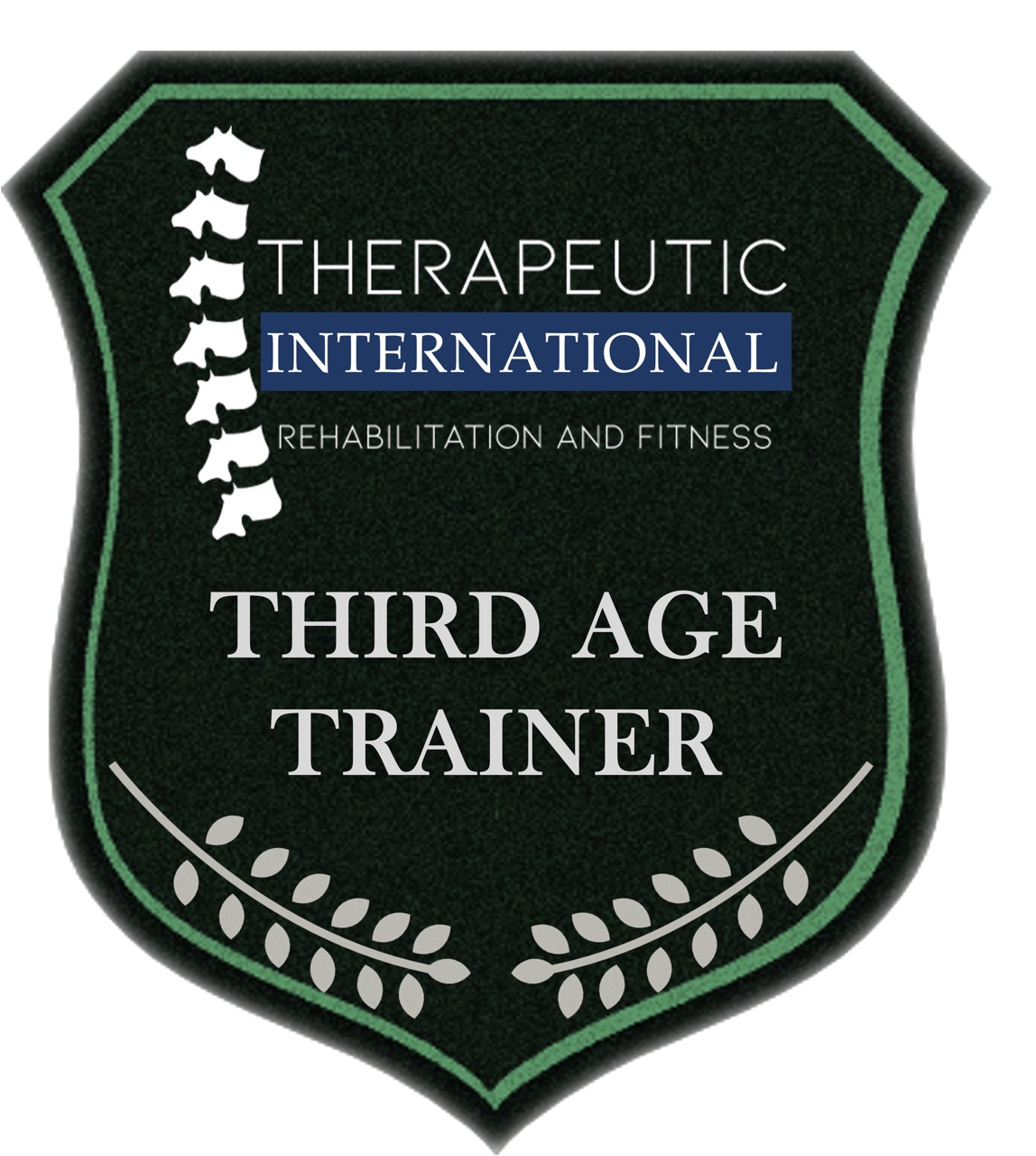 ESCUDO TERCERAD EDAD de tamaño grande Certificación Internacional Entrenamiento en el Adulto Mayor - Imagen 1